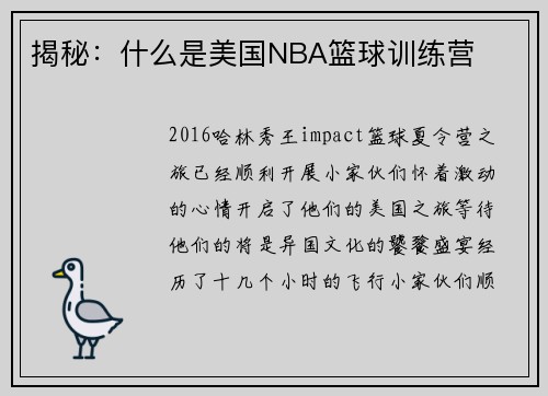 揭秘：什么是美国NBA篮球训练营